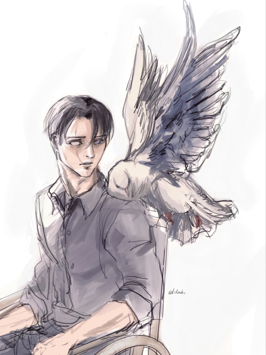 lidmhv's tweet image. #リヴァイ生誕祭2025