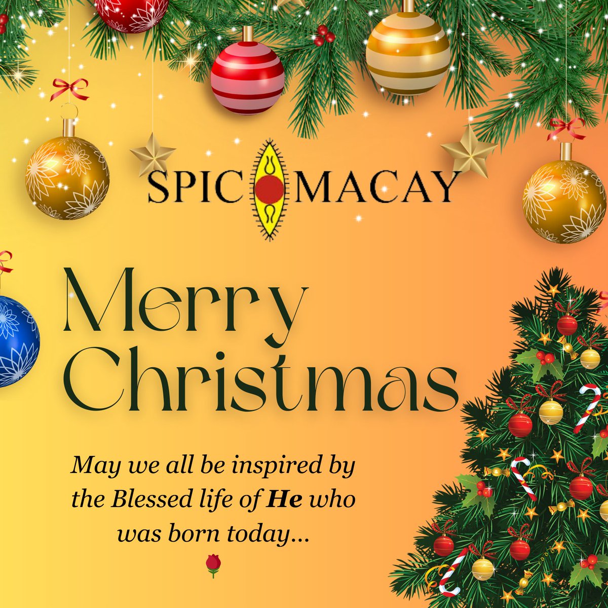 SPIC MACAY tweet media