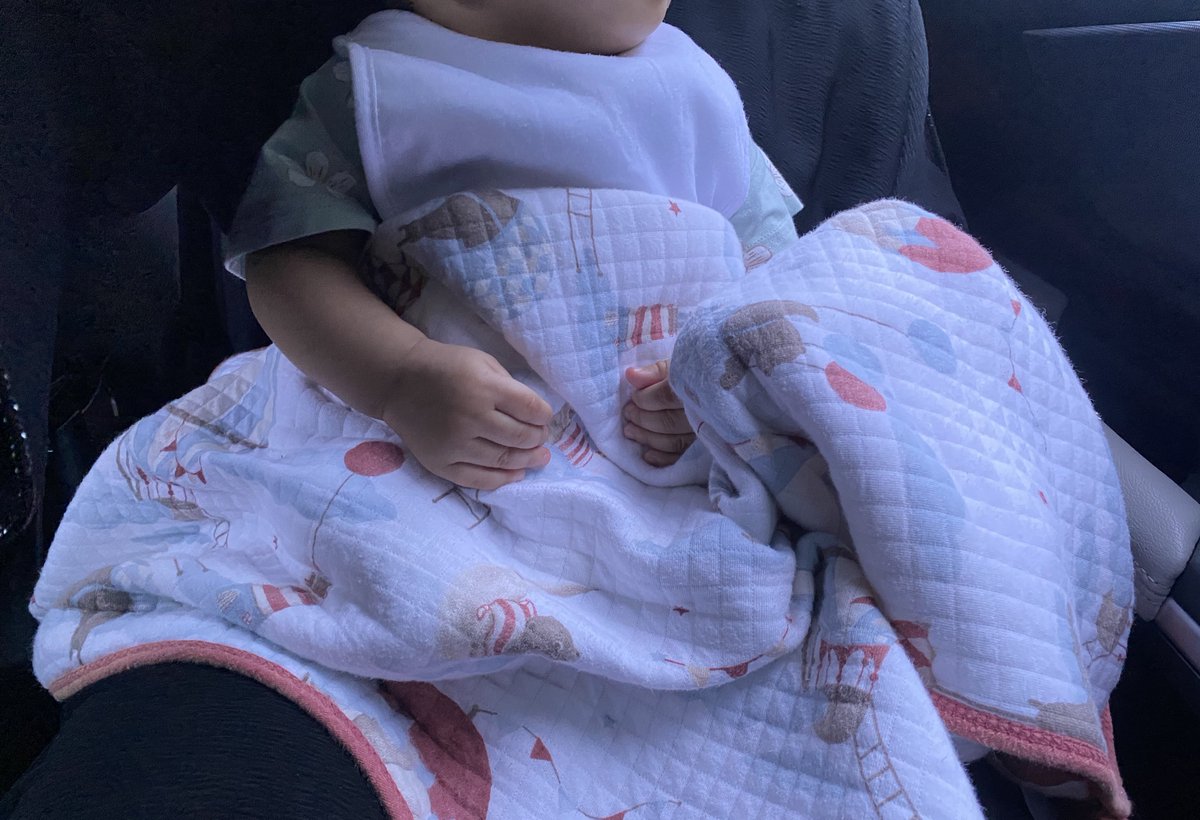 𝑀𝑢 🐾 tweet media