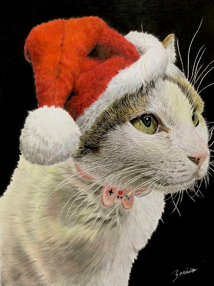 色鉛筆で描いたネコ🐱🎅 約3年前に描いた お知り合いのネコさん✨️ 何