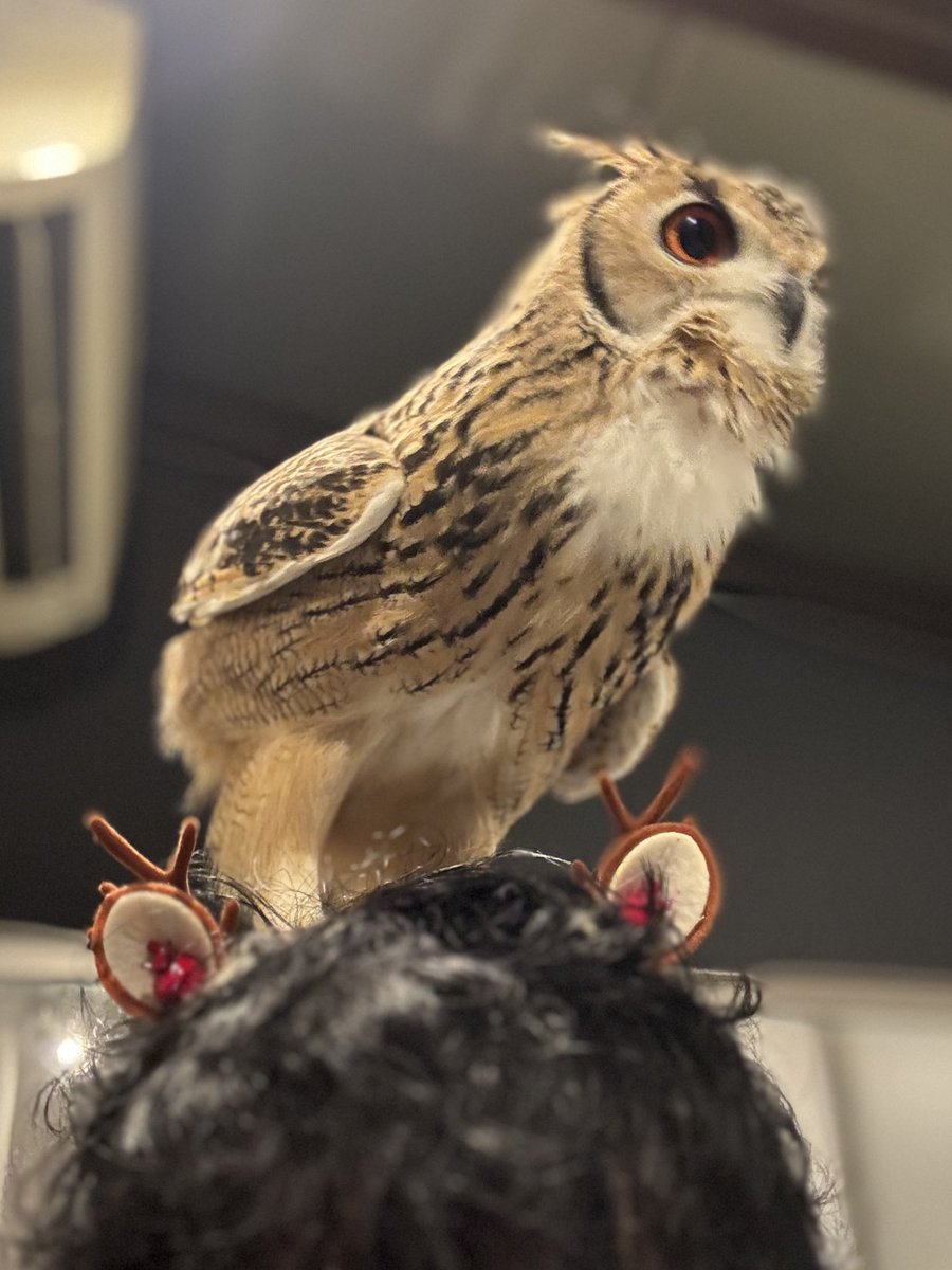 げんさんとガルー tweet media