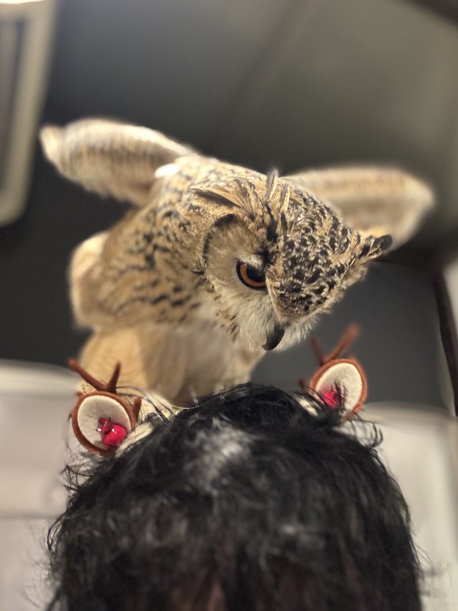 げんさんとガルー tweet media