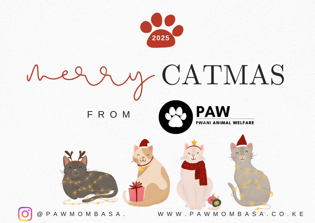 pawkenya's tweet photo. To our Christian furmilies 🩷
#MerryChristmas https://t.co/sJX08ofETr