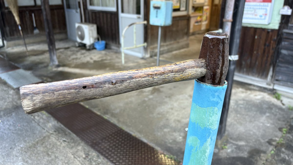 hirao113's tweet photo. 野生のハンマーもいた https://t.co/HgclDX6l7F