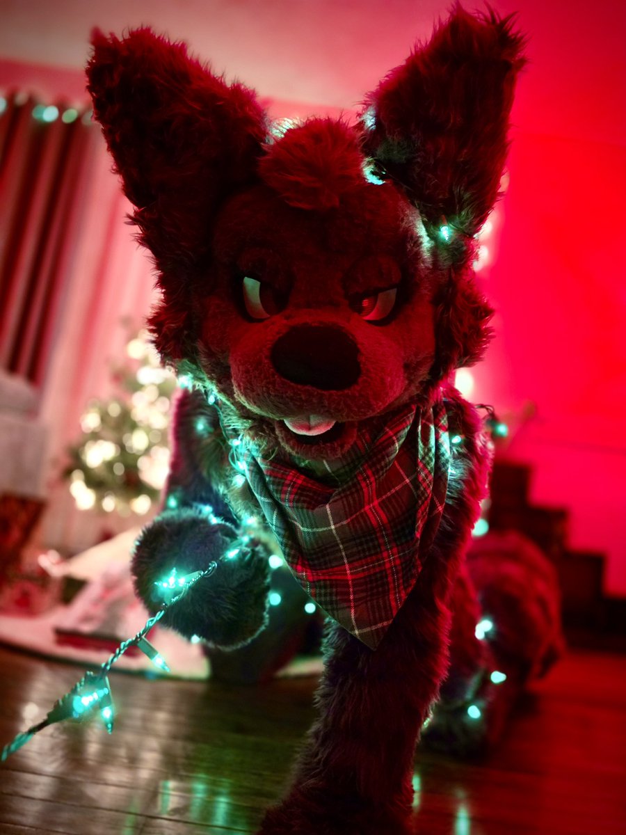 POV: You’re my present this year~

📸: <a href="/RaveTheFeer/">RAVE🔜Divi</a>