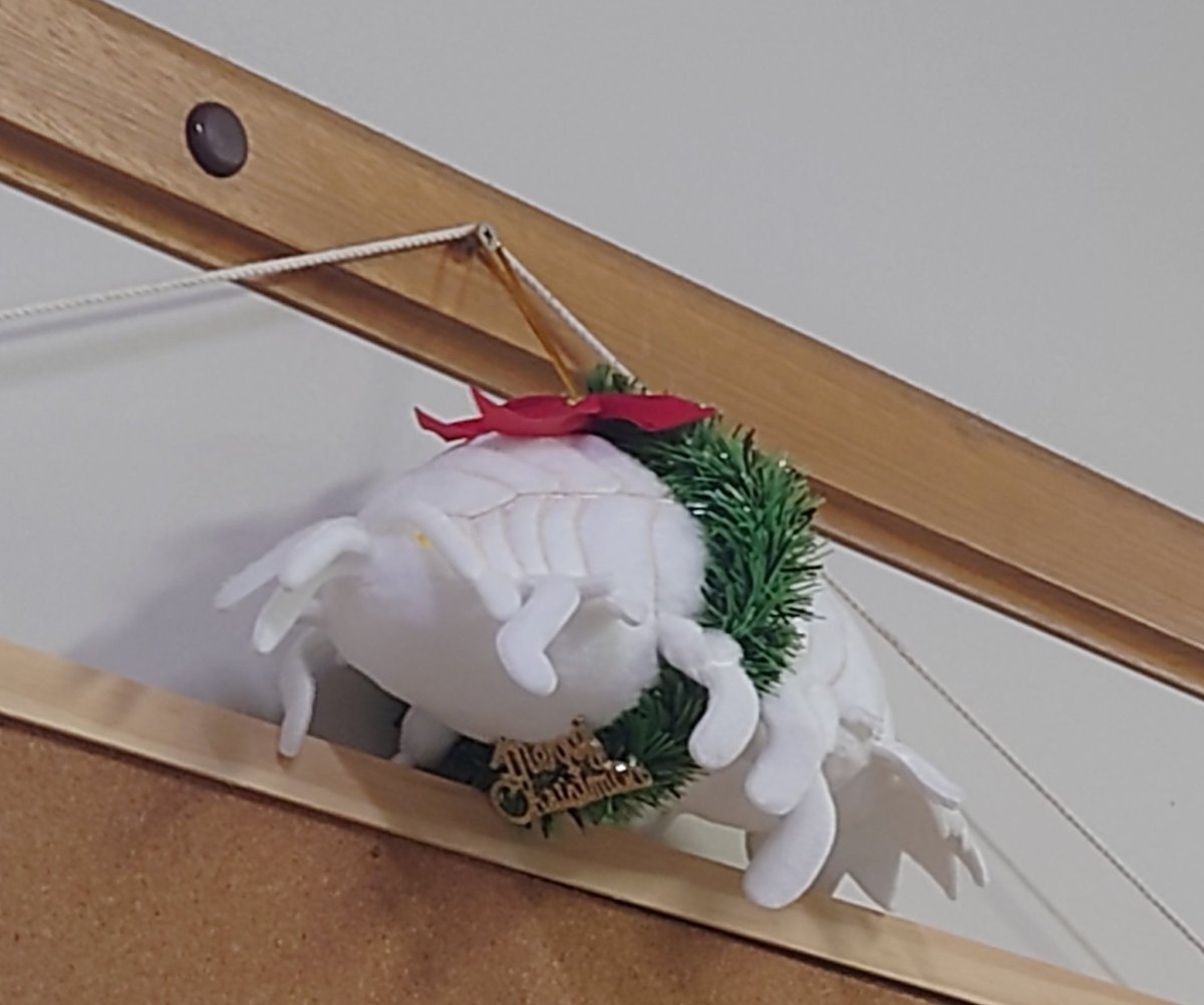 komadoriyahata's tweet photo. Happy #Crustmas!! https://t.co/tT3vDa35Kg
