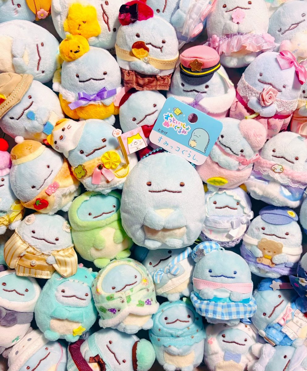 「これまでもこれからも 〝とかげちゃん〟とずっっっっっっっと いっしょなんです #」|ねこデコ🍊nekodekoのイラスト