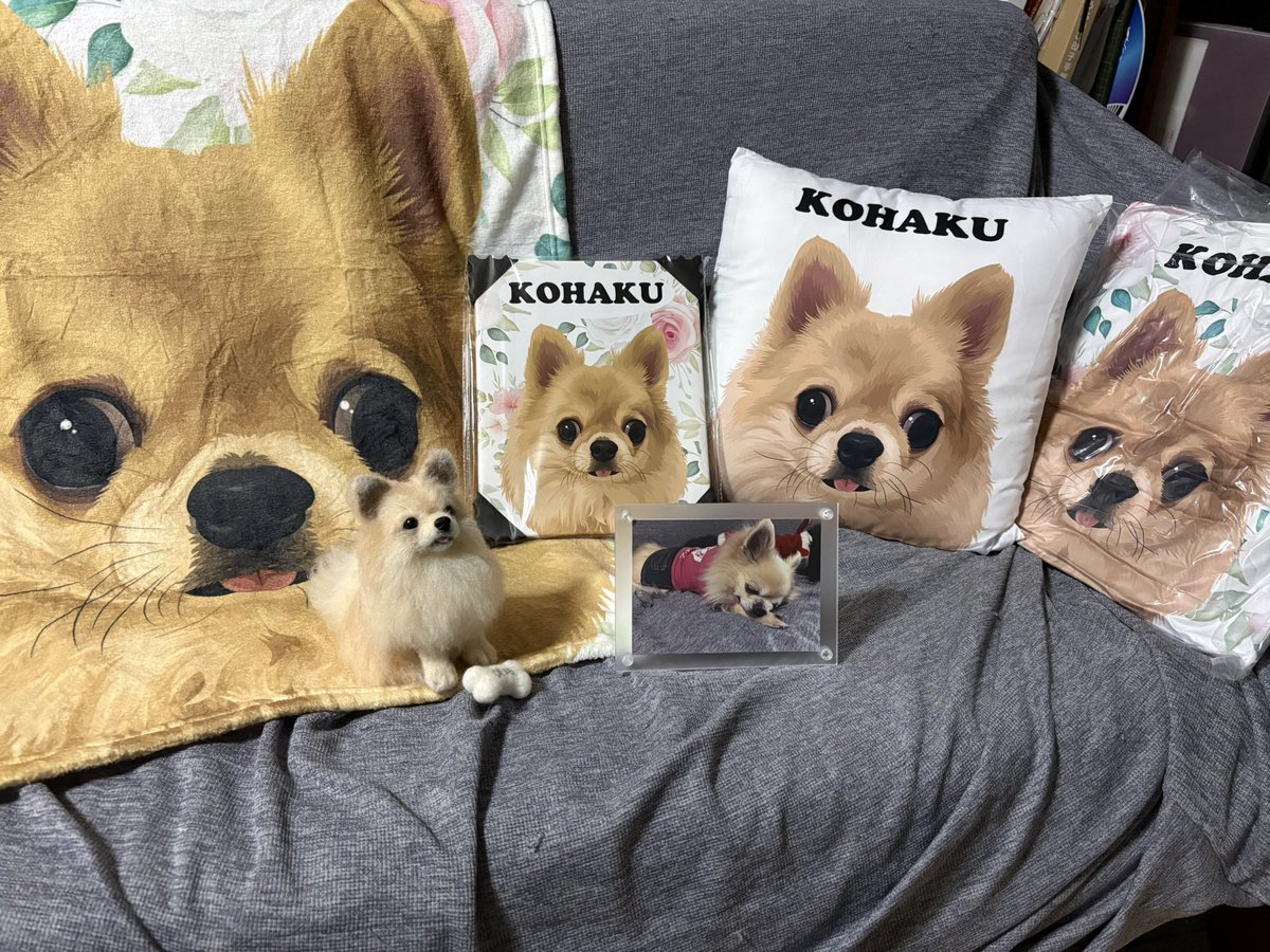 asakoo4's tweet photo. Merry Xmas for me🎄

@pet_canva さんでオーダーしていた琥珀グッズが届いたクリスマス🎁
大きなお目目もちょっとお間抜けな愛らしいぺろもまんま琥珀✨✨
可愛い可愛すぎる🥺🥺
こーちゃん会いたいよ。琥珀のいないクリスマスは寂しいです😢
#お空組　🌈
#チワワ https://t.co/wlDMb0vQI0
