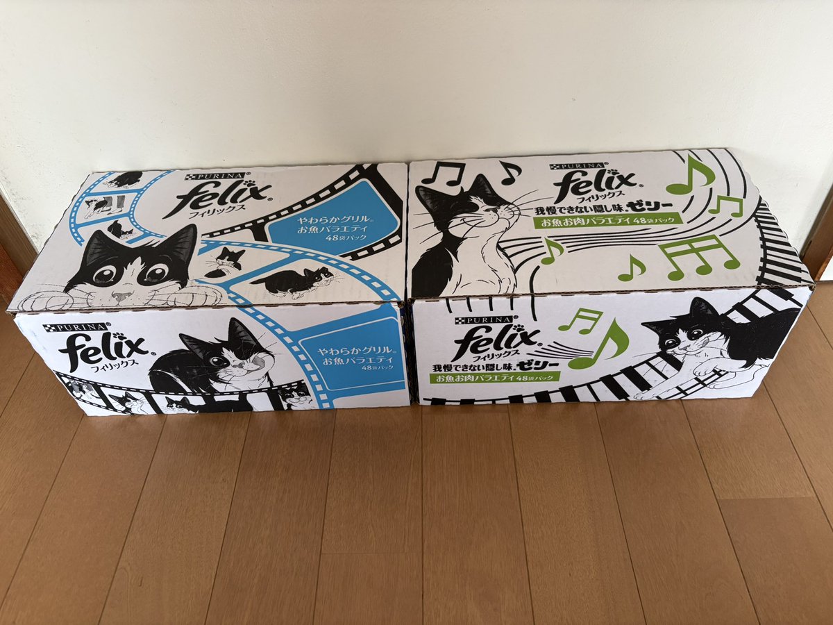 とても嬉しい出来事😺😸😻😽🎶 Xname MJ♡🐈‍⬛ 様 より フードのご