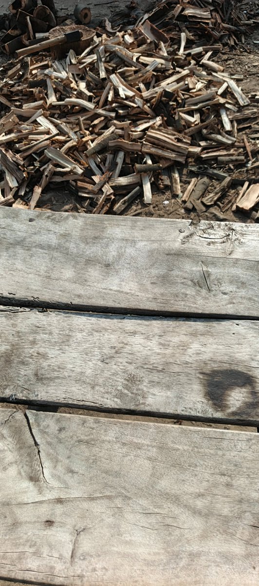 xThatRandomOnex's tweet image. Hello everyone friend 👋