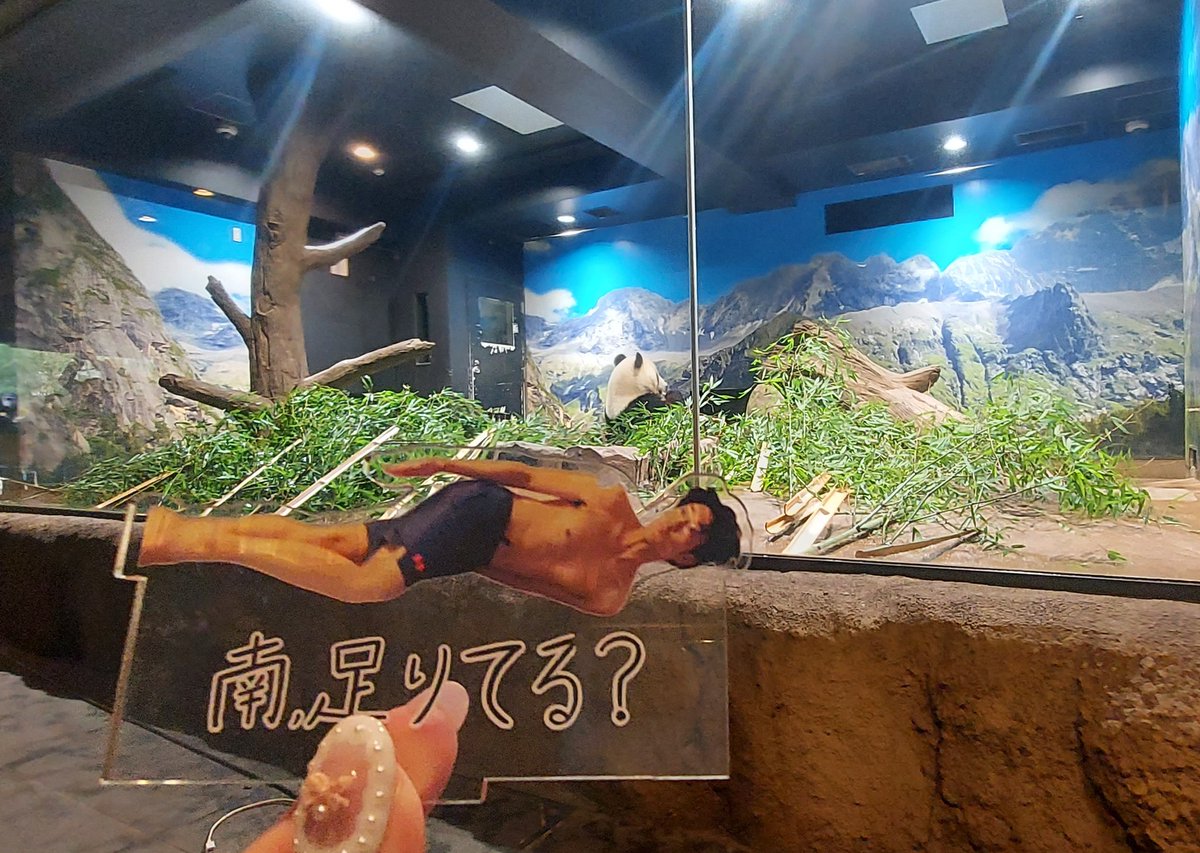 パンダ！！！！みれた！！！
2匹ともいい背中だった！！！！