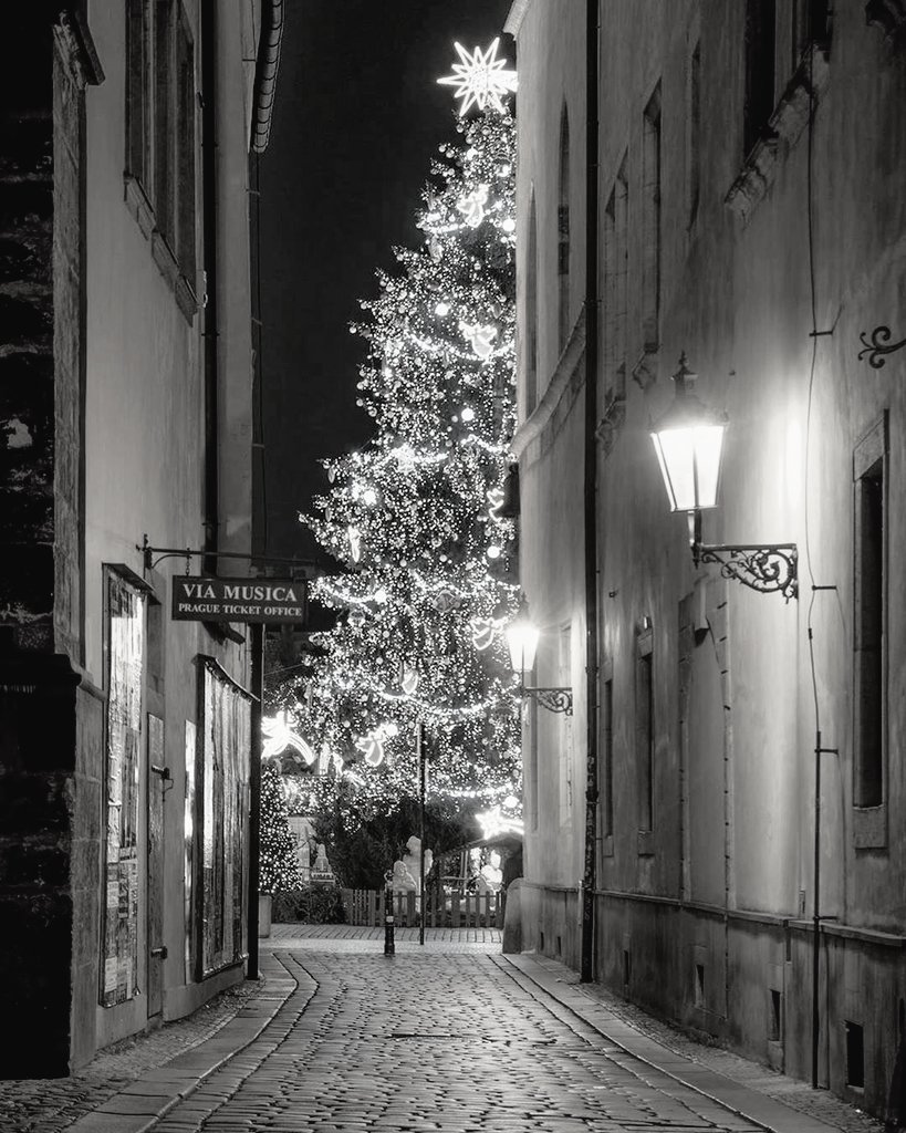 DesignSemo's tweet image. 