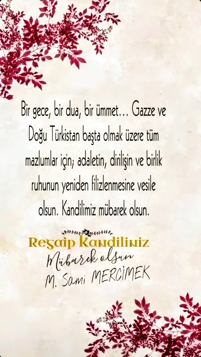 M. Sami MERCİMEK (@m_sami_mercimek) on Twitter photo 