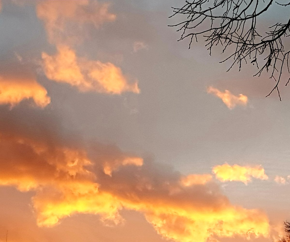 Happy Christmas🎄😊