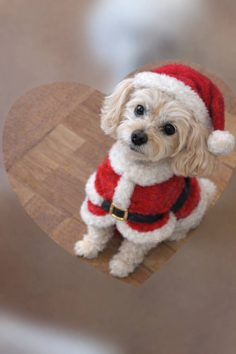 いぃ爺ライダー tweet media