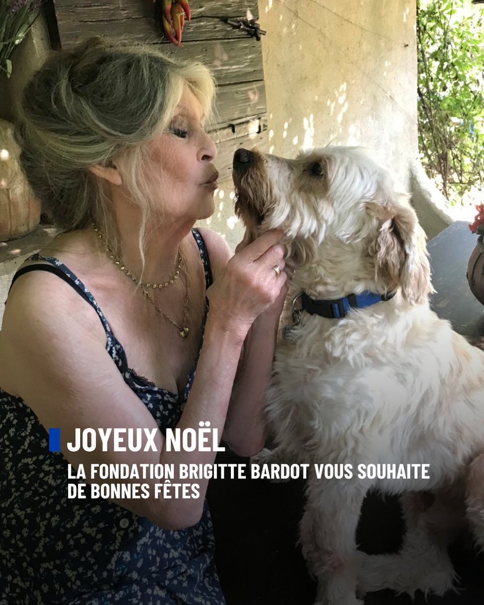 🎄Toutes les équipes de la Fondation Brigitte Bardot, vous souhaitent un joyeux Noël et de très bonnes fêtes.

Merci pour votre soutien !  

Prenez soin de vous, de vos proches et de vos animaux 💕