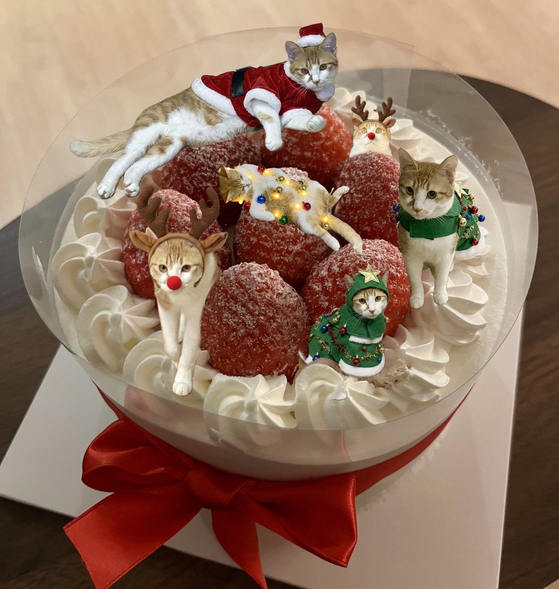 ddcat1108's tweet photo. 다들 메리크리스마스🎄🎄🎅 https://t.co/FaCb6pAFyD
