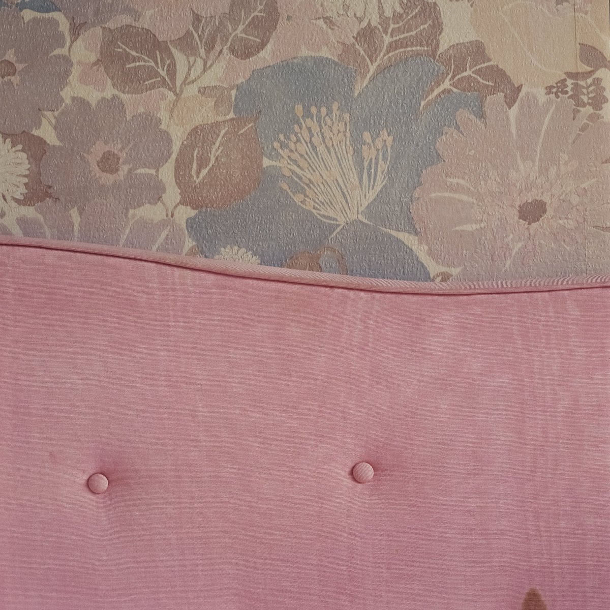 Benjamin L tweet media