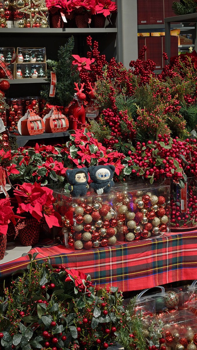 ⭐︎★クママさま　専用⭐︎★ ⚪️ (@e88725) / Posts / X