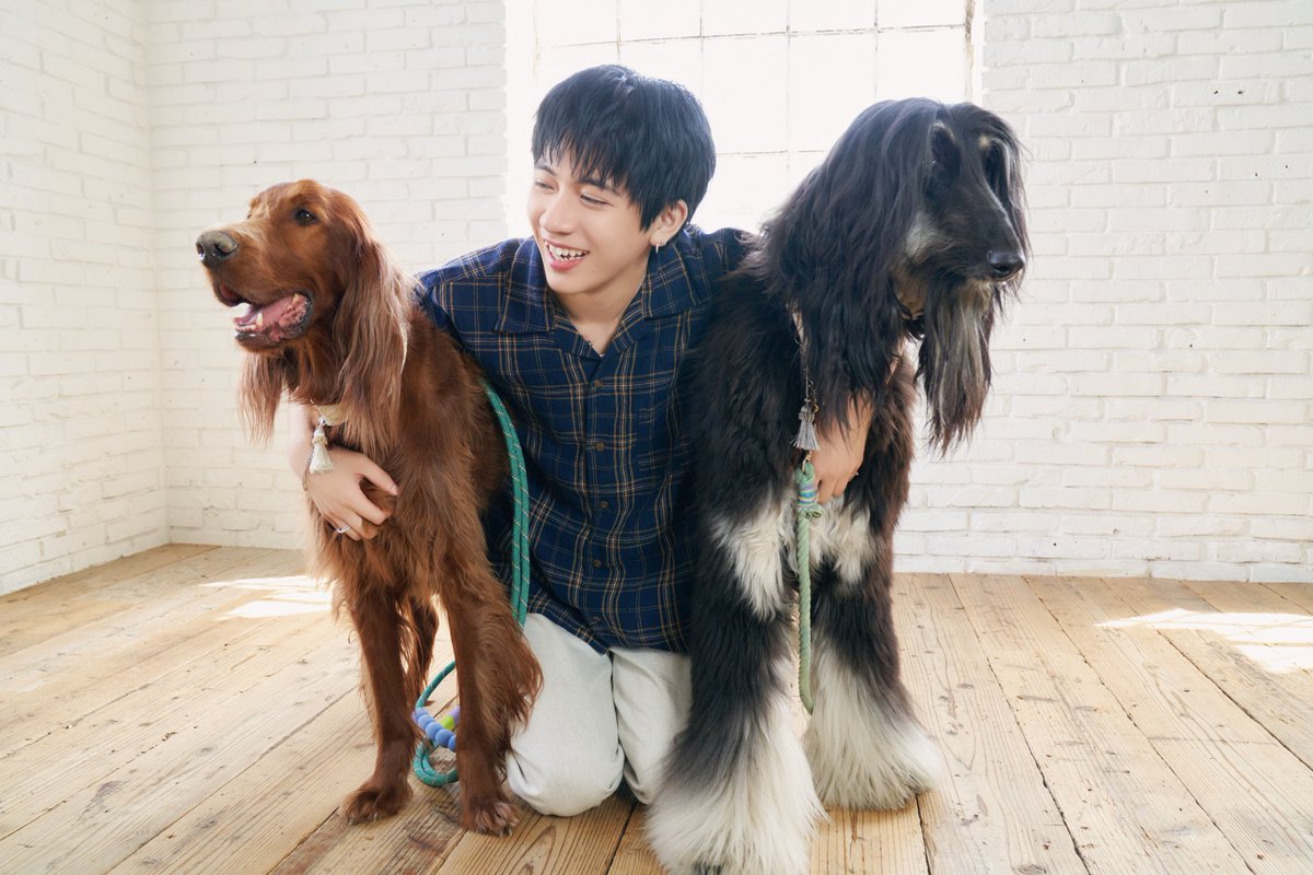 確認ページ♡わんこ＆にゃんこ chica0726-cats&animals (@cats_chica0726) / Posts / X