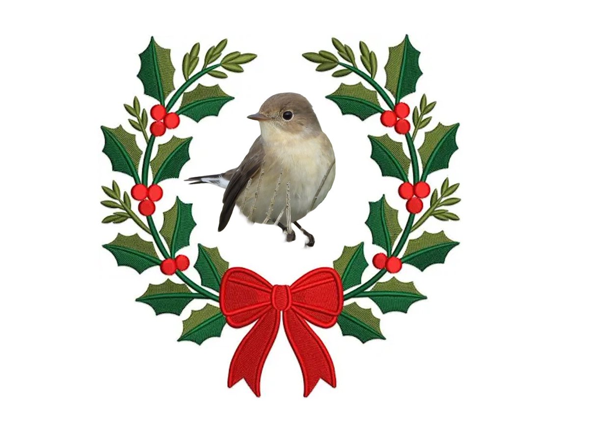 Dungeness Bird Observatory tweet media