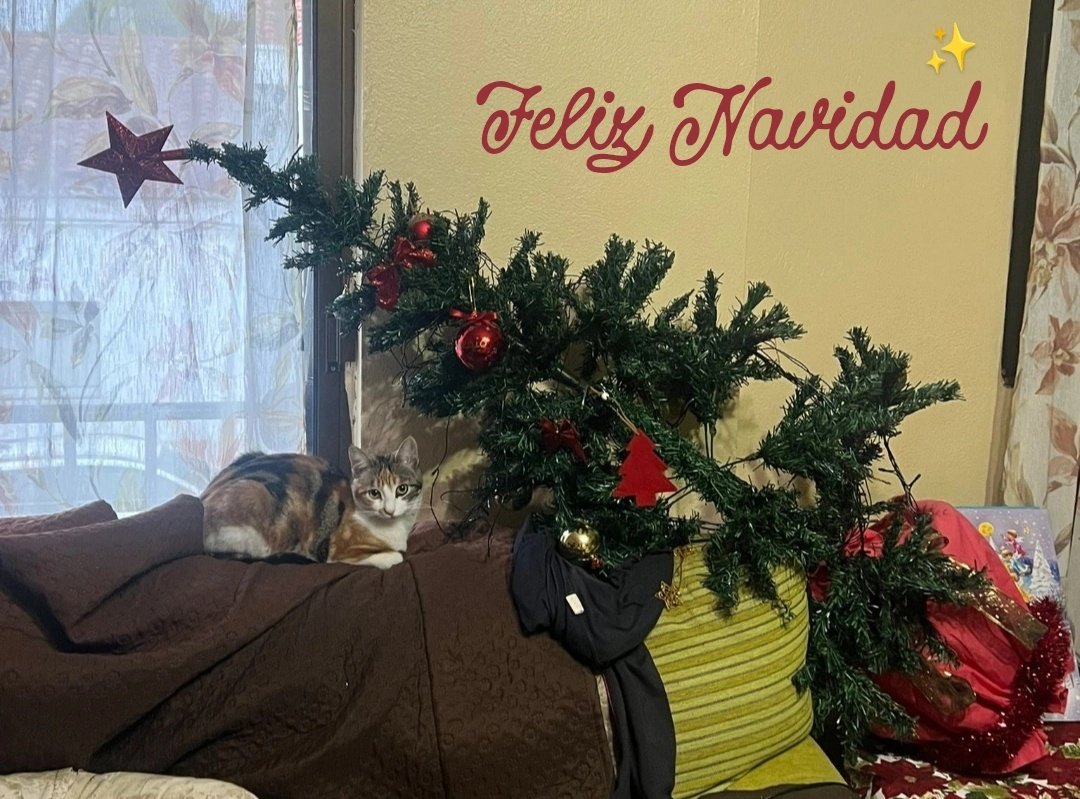 Feliz Navidad de parte de los tofos y de mi Dina (con mis dos estampas fav de esta Navidad)