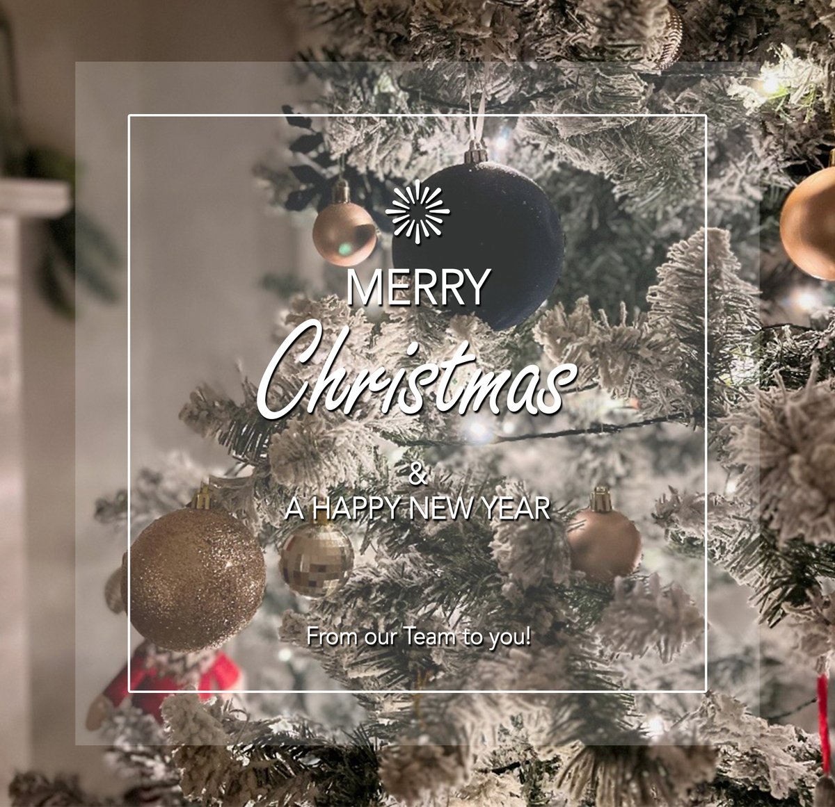 SekerTech tweet media