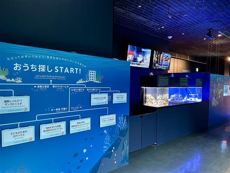 マクセル アクアパーク品川公式 (@_aquapark_) / Posts / X