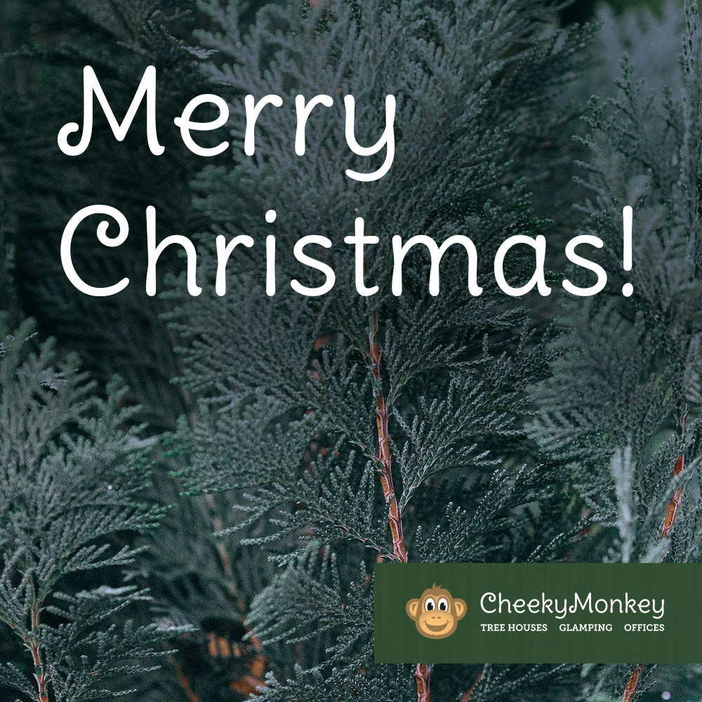 Merry Christmas! 🎄 We hope your day is filled with love, laughter, and lots of treehouse fun and adventure! 

#treehouse #treehousebuild #gardeninspo #childhood #outdoor #adventure #explore