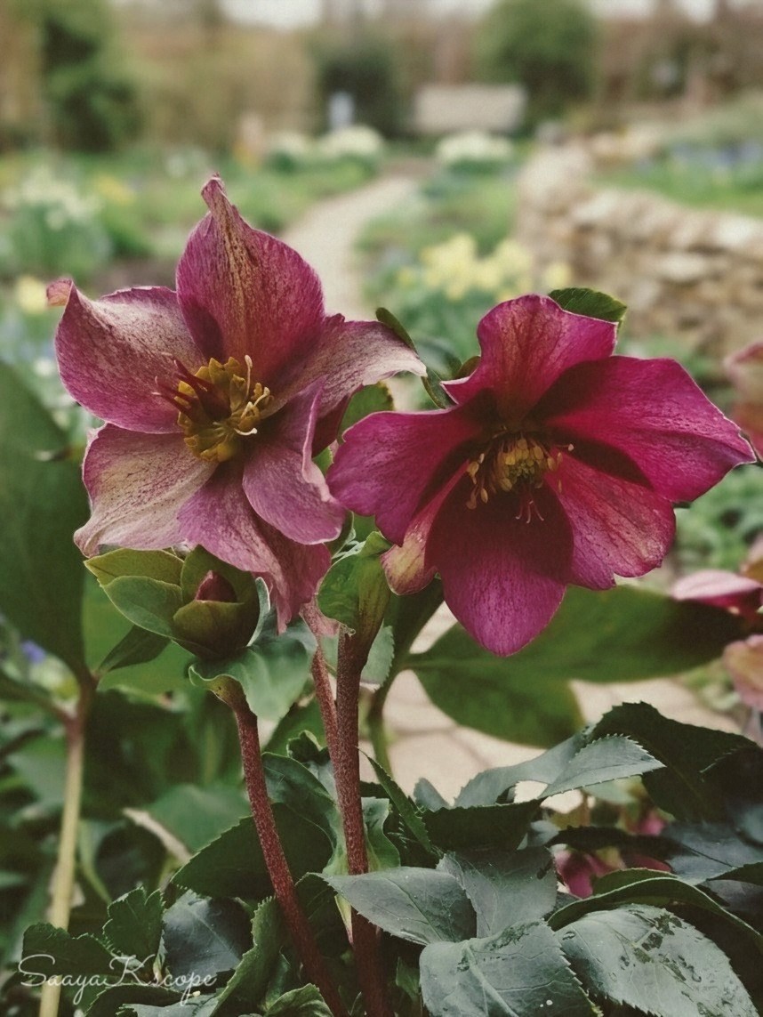 Flowers Community on X - 139.5K Members