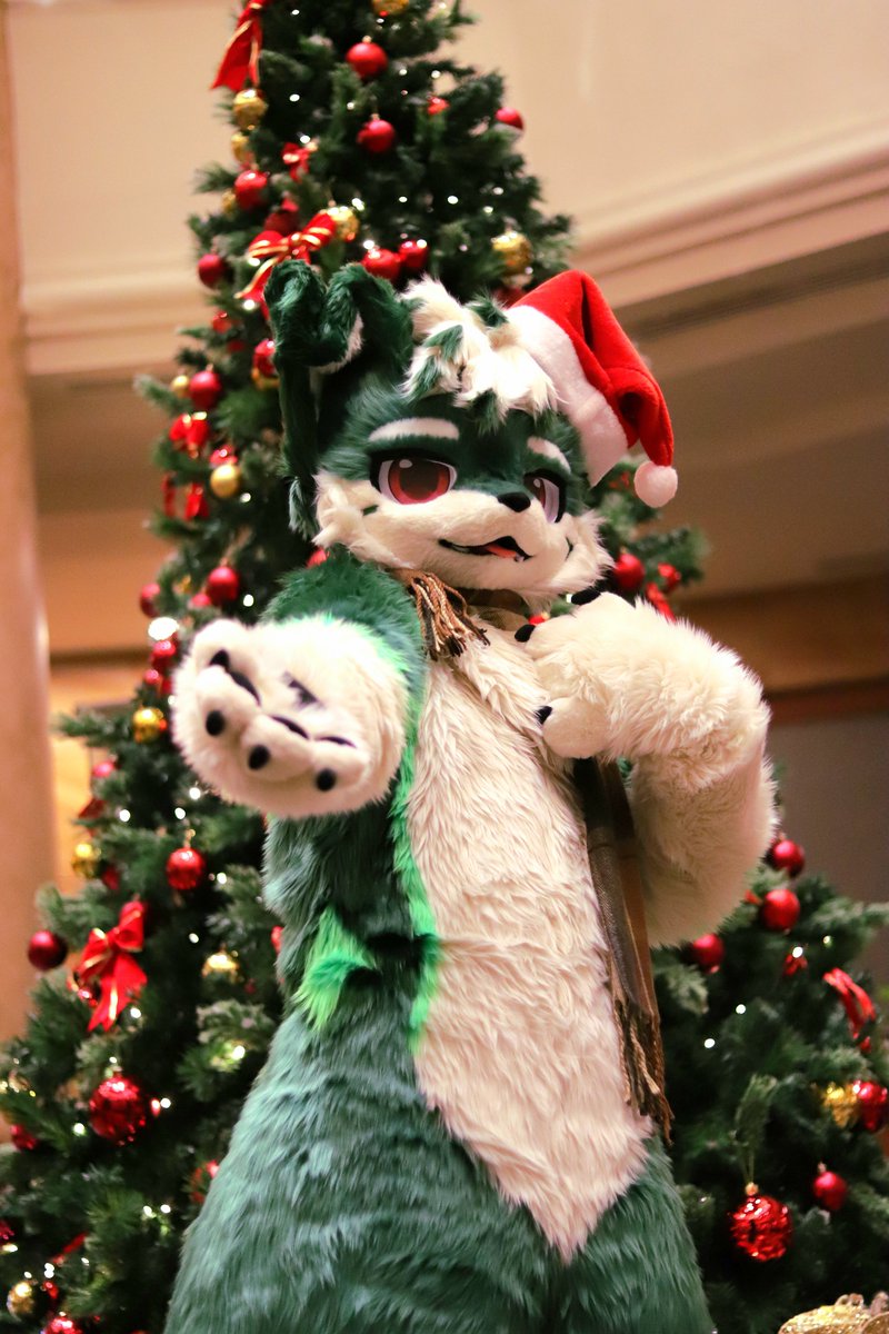 #ChristmasFurry 
💚: <a href="/Albert_K_Orion/">💚🤍 Albert Orion | 欧莱星 🤍💚</a>
📷:<a href="/lucawiooff/">AuraNickyy 🐺</a>
🪡:<a href="/cuiliyan331/">Umi Fursuit 유미 퍼슈트 공방</a>

Happy Christmas Y'all 🎄🎁