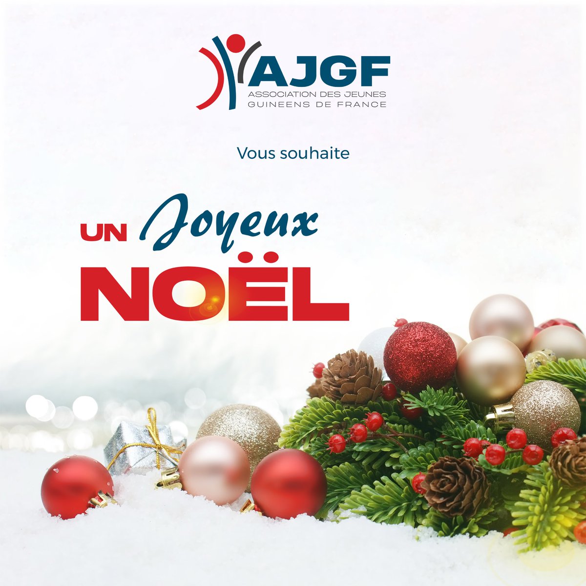 [🎁L’Association des Jeunes Guinéens de France vous souhaite un Joyeux Noël ✨]

Profitez de ces fêtes pour partager des moments de joie et de solidarité en Famille ❤️. 

#noël #AJGF #fêtes