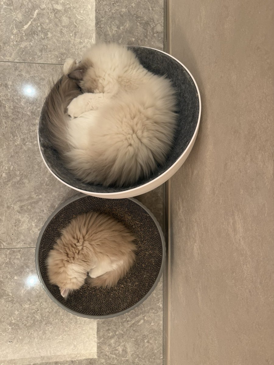 鈴木亜美 (@ami927sn) / Posts / X