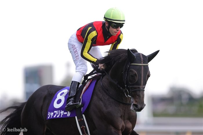 競馬　シャフリヤール　クロス ジャケット シャフリヤール (Shahryar) | 競走馬データ - netkeiba