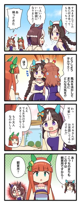 スズカさんのまりもを見るタルマエの4コマ(再掲) 