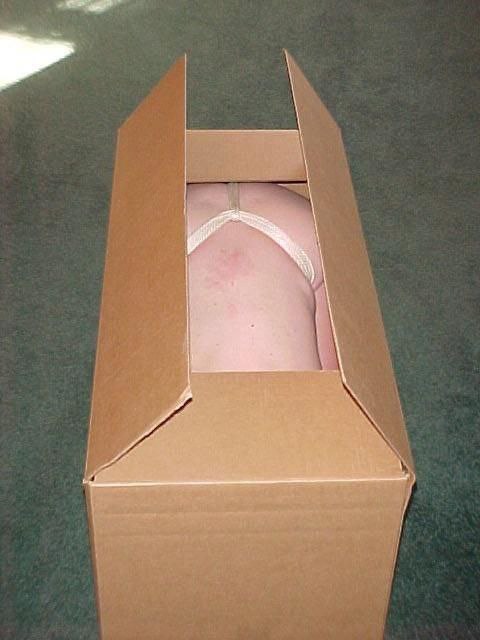 soysissybb's tweet photo. Todas las mujeres de mi familia y mujeres conocidas desaparecieron...pero santa me dijo que tengo que llevar cajas grandotas a diferentes lugares, manda dm y te digo quien te trajo santa🥺

#cuckson #sissyespañol #sissy #hijocornudo #Navidad #putitas https://t.co/sMJdp81eo0