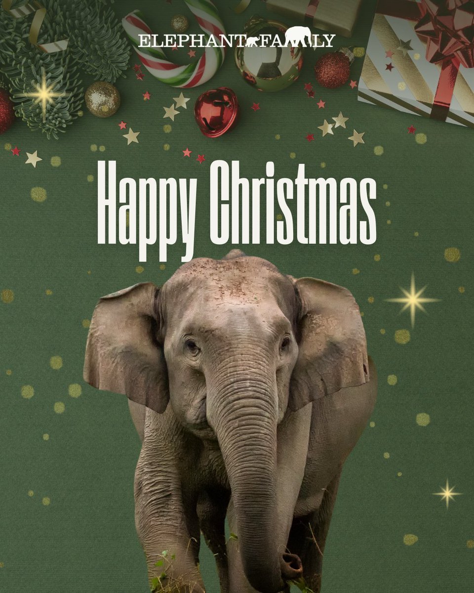 Elephant Family tweet media