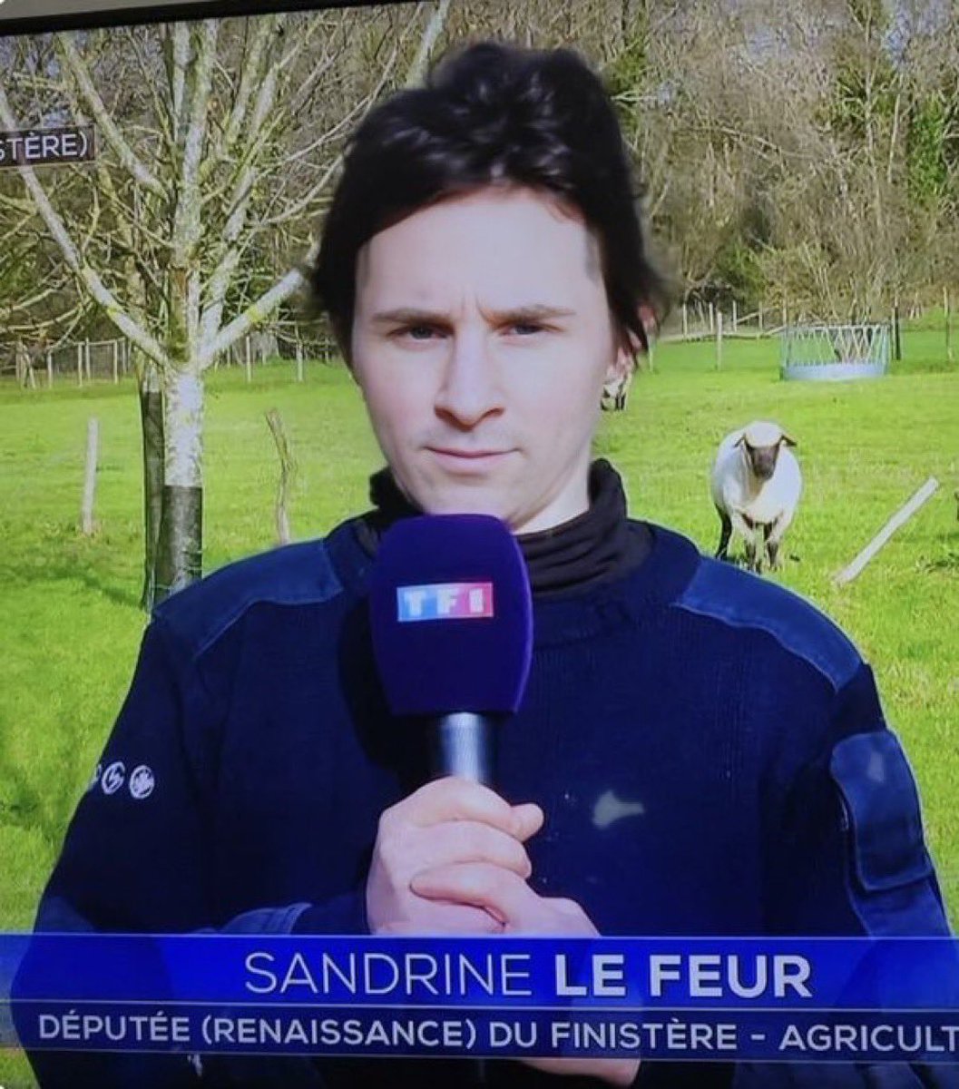 mulestetique's tweet photo. sandrine le quoi https://t.co/QKuyd0JPeV
