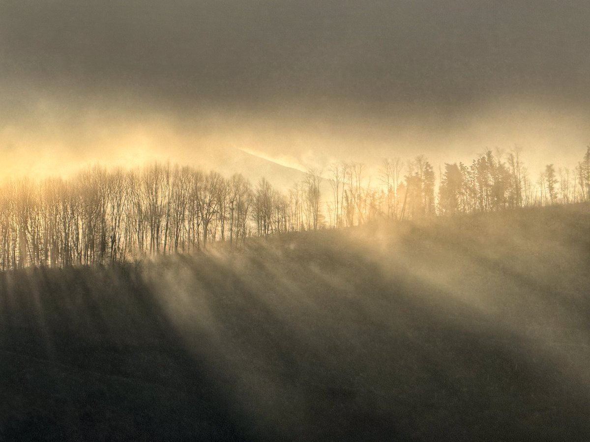 Oheratzen zaretenean, egun bakoitza irribarre batez (behartua bada ere) gogoratzea opa dizuet, bizitzea merezi izan duen egun bat bezala, nahiz eta oso lainotsua izan.
Besarkada handi bat eta Eguberri on guztioi!!!

P.D. Argazkiak gaurko egunsentikoak dira.