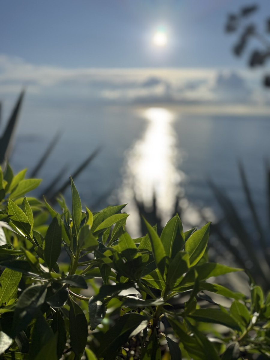 PlanetaExplora's tweet image. Feliz día a todos desde nuestro barrio. Un día precioso amanece.