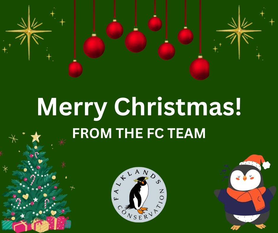 Falklands Conservation tweet media
