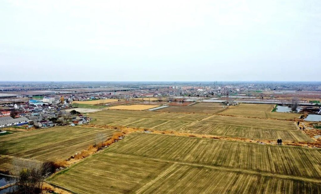 HuaianChina's tweet photo. Naturally selenium-rich soil in Liujun Town, #HuaianDistrict, yields its golden-standard crop: certified selenium-enriched rice, fully traceable from field to table — empowering rural revitalization with every grain. 🌾🚜 #HuaiAnAgriculture #RuralDevelopment #LocalFlavor https://t.co/K9GsdASC70