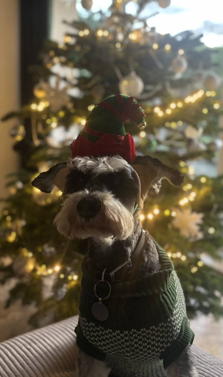 Merry Christmas 🎄