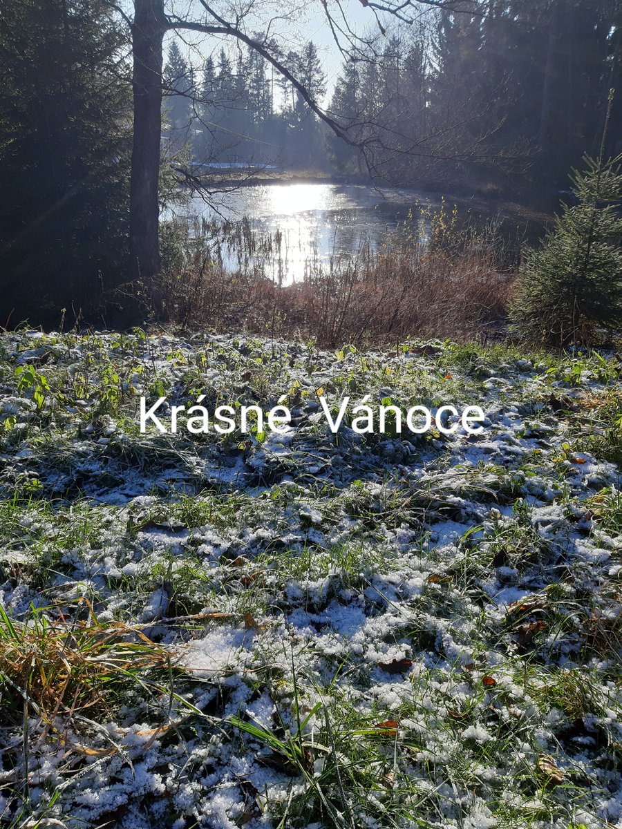 Klidné svátky 🥰