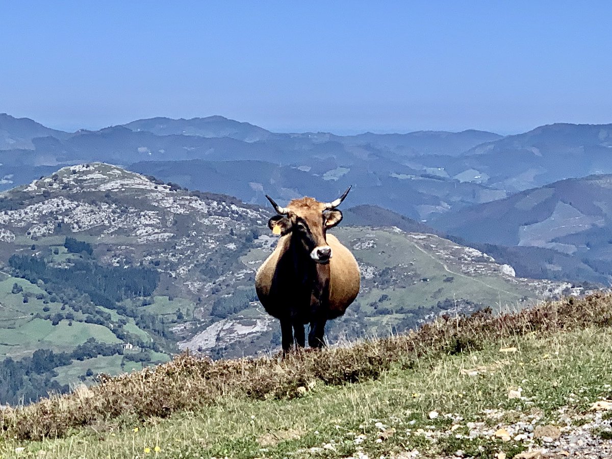 “Gaur Natibittate, ase eta bete; bixar San Estebantxe eta handik aurrera lehen laitxe”. Nire aittaginarreba Gregorio Zumaldek (1917an jaioa) urtero esaten zuen, orain nik urtero idazten dut hemen.