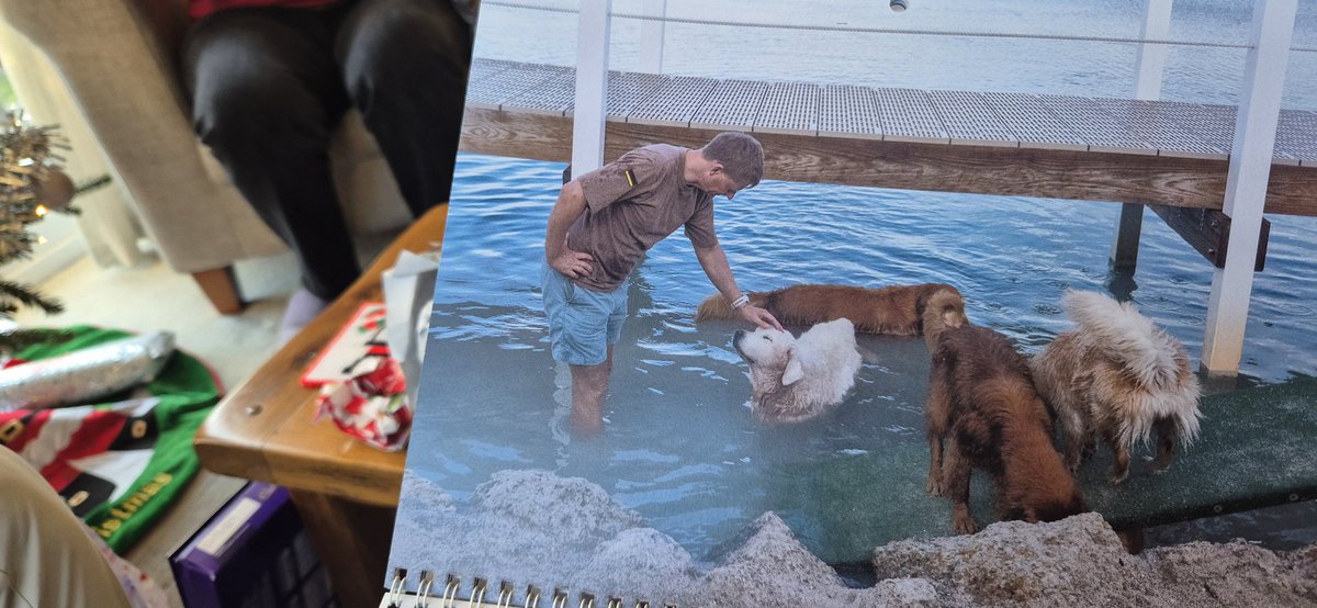 CatEadie's tweet photo. @TheGoldenRatio4 Merry Christmas! Ingo has made it into the calendar this year! 🎉 https://t.co/BrydophEQ0
