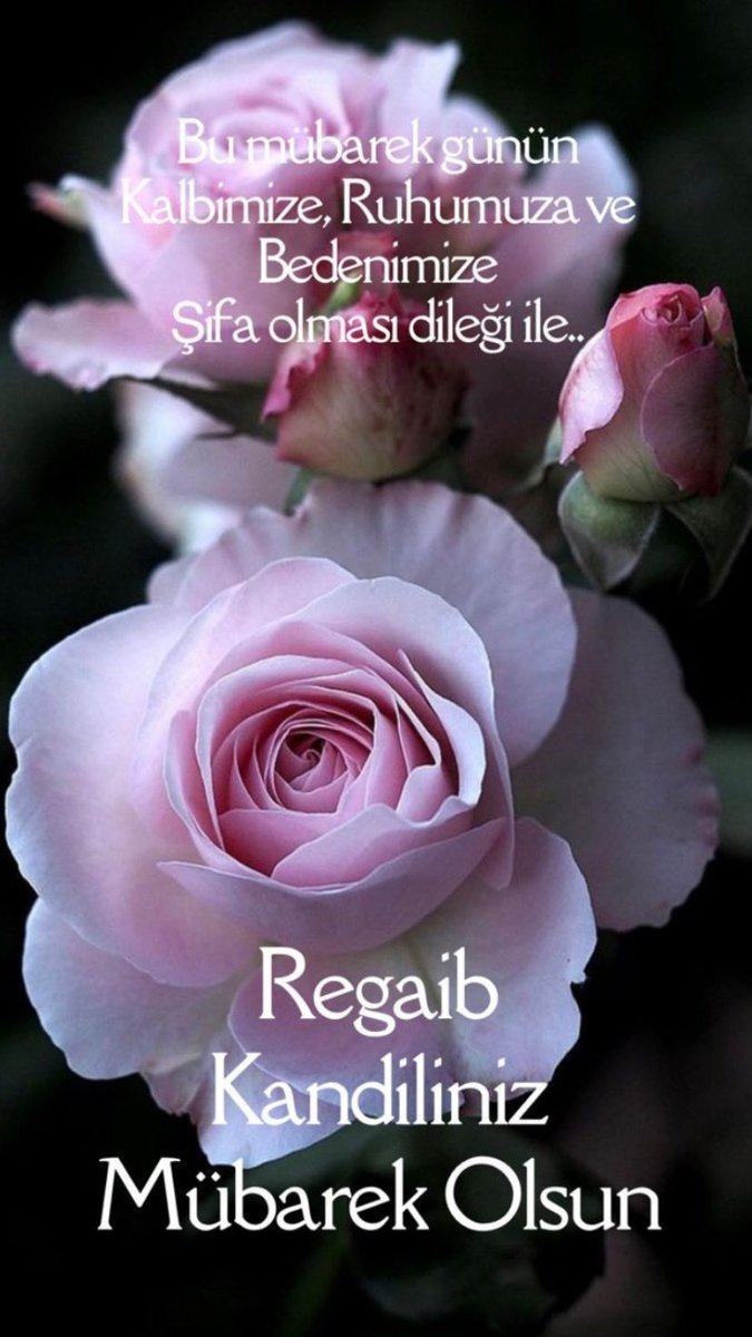 ü _y UMIT,inDUNYASI mon coeur te cherche (@u_y295461) on Twitter photo 