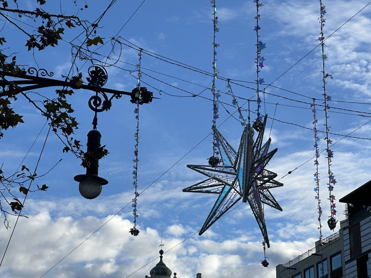 Pilar Calvo tweet media