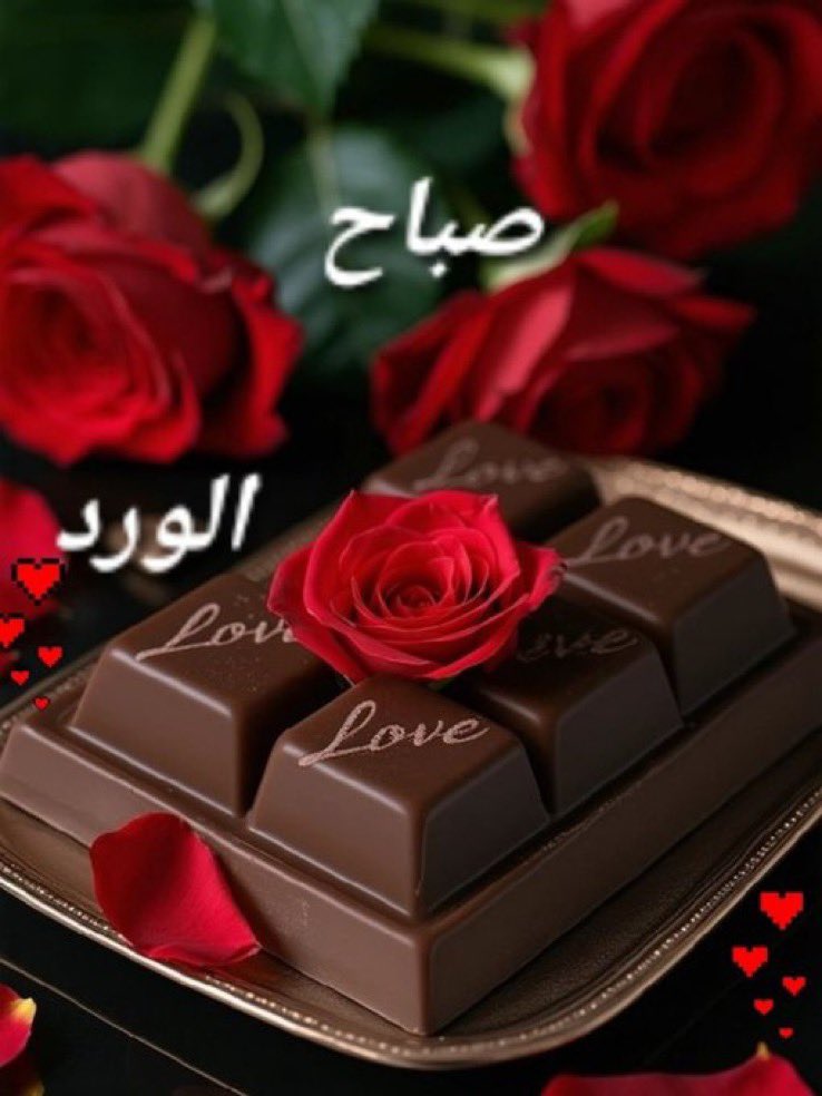 #صباح_الخيرᅠ

#اللهم إنِّي أسألك خيرًا في كلِّ اختيار، ونُورًا في كل عتمة، وتيسيرًا لكل عسير، وواقعًا لكل ما أتمنى اللهم بحجم جمال جنَّتك أرني جمال القادم في حياتي وحقق لي ماأتمنى، اللهم كافئني بعد الصبروأسعدني بعد الحزن 
وأرحني بعد التعب اللهم الرضاالذي يجعل قلوبناهادئة ياالله