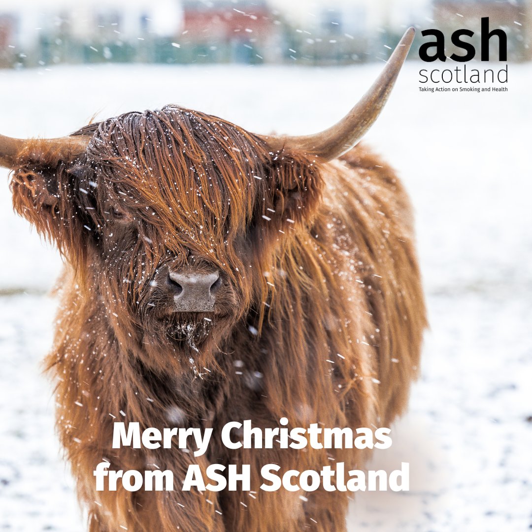 ASH Scotland wishes all our colleagues, friends and everyone we work with a happy holiday over the festive period.

We look forward to continue our work tackling the harms caused by tobacco in the new year.